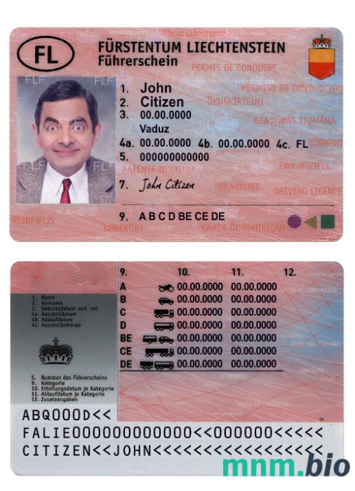 Szablon prawa jazdy Liechtensteinu w formacie PSD, ze wszystkimi czcionkami